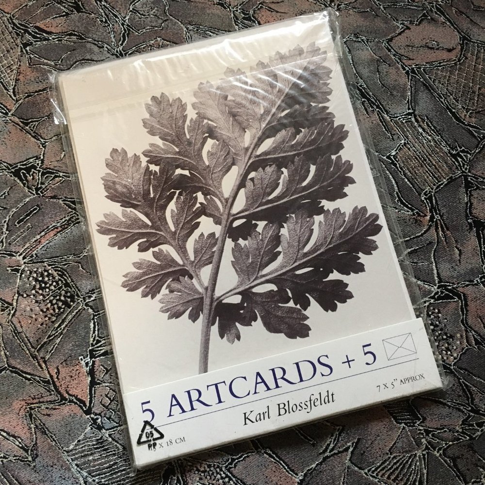 Vintage 1998 IKEA Karl Blossfeldt Art Cards Set of 5 NWT
